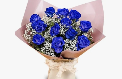 Dozen Blue Roses