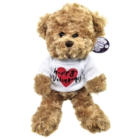 Valentines Cuddly Teddy